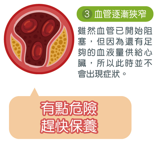 血管檢測報告範例