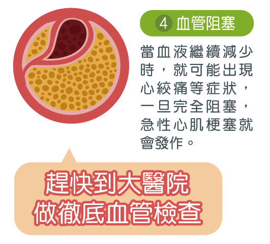 血管檢測報告範例