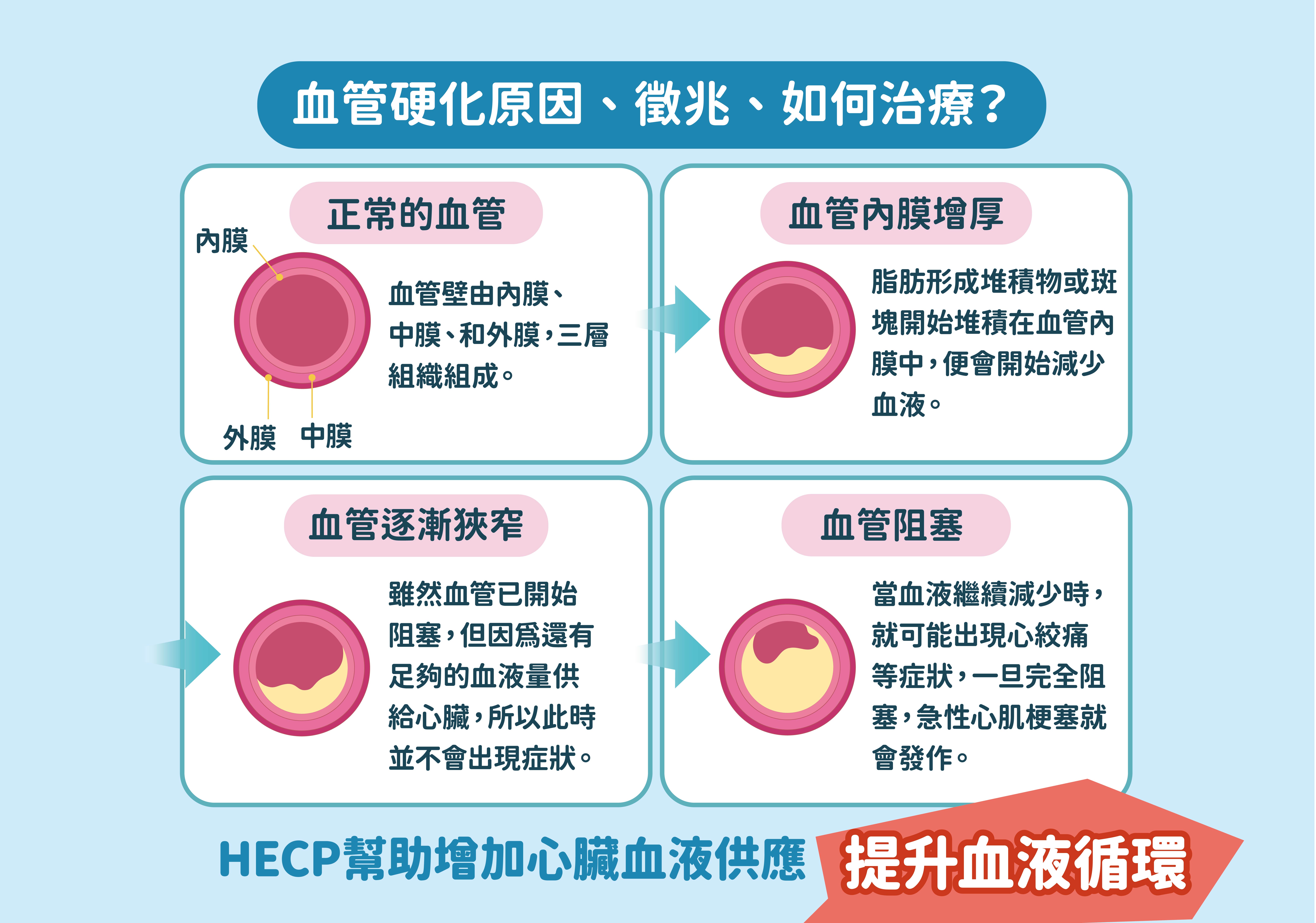 血管健康與三高問題的關聯圖示